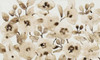 Blooming Umber I Poster Print - Tim OToole
