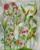 Dear Nature II Poster Print - Melissa Wang