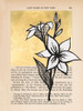 Floral Diary I Poster Print - Vanna Lam