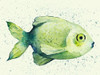 Speckled Freshwater Fish II Poster Print - Grace Popp