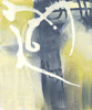Delightful II Poster Print - Joyce Combs