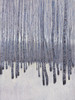 Bare Trees in Winter I Poster Print - Tim OToole