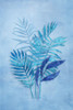 Tropical Night in Blue III Poster Print - Andrea Haase