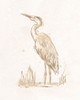 Sepia Heron III Poster Print - June Erica Vess