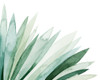 Watercolor Plume II Poster Print - Grace Popp