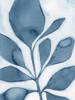 Blue Weed I Poster Print - Grace Popp