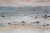Shimmering Shore II Poster Print - Tim OToole