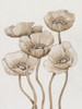 Poppies in Sepia I Poster Print - Tim OToole