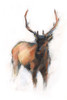 Sienna Animal Study II Poster Print - Ethan Harper