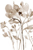 Neutral Floral Overlay I Poster Print - Jennifer Goldberger