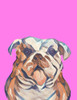 Spoiled Puppers In Pink Poster Print - Patricia Pinto