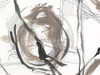 Neutral Motion III Poster Print - Regina Moore