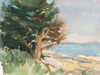 Boothbay Harbor Maine Poster Print - Stephen Calcasola