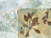 Embellished Leaf Inclusion VI Poster Print - Jennifer Goldberger