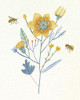 Honey Bees II Poster Print - Melissa Wang