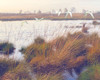 Marshland Hues I Poster Print - Steve Hunziker