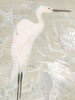 Driftwood Heron I Poster Print - June Erica Vess