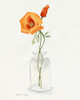 California Poppy Vase I Poster Print - Grace Popp