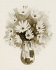 Daisy Bouquet Sketch III Poster Print - Grace Popp