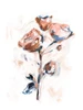 Abstract Rose Bouquet I Poster Print - Ethan Harper