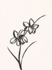Ink Botanical Sketch XII Poster Print - J. Holland