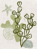 Coral Blockprint I Poster Print - June Erica Vess