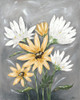 Summer Daisies I Poster Print - Jade Reynolds
