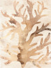 Parchment Coral III Poster Print - June Erica Vess