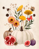 Fall Botanicals I Poster Print - Grace Popp