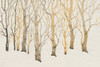 Bare Trees I Poster Print - Tim OToole