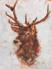 Stag Study I Poster Print - Ethan Harper