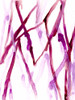Runnel XV Poster Print - June Erica Vess