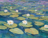 Morning Lilies II Poster Print - Tim OToole