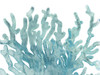 Blue Macro Coral III Poster Print - June Erica Vess