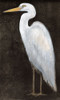 White Heron Portrait II Poster Print - Tim OToole