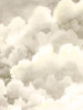 Storm Brew II Poster Print - Grace Popp