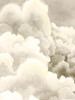 Storm Brew I Poster Print - Grace Popp
