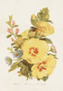Antique Floral Bouquet VI Poster Print - Unknown