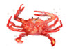 Crab Cameo IV Poster Print - June Erica Vess