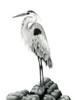 Shoreline Heron in BandW II Poster Print - Grace Popp