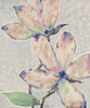 Blossom Study I Poster Print - Tim OToole