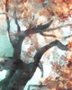 Fall Tree I Poster Print - Alonzo Saunders