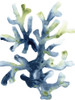 Liquid Coral I Poster Print - June Erica Vess