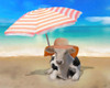Sunbathing Cow Poster Print - Elizabeth Medley