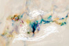 Stardust Poster Print - Sisa Jasper