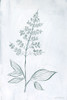 Milkweeds IV Poster Print - Vanna Lam