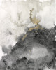 Ebony and Gold II Poster Print - Jennifer Goldberger