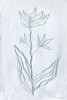 Milkweeds III Poster Print - Vanna Lam