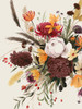 Equinox Bouquet I Poster Print - Grace Popp
