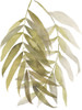 Palm Embrace II Poster Print - Jennifer Goldberger